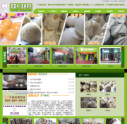 清遠(yuǎn)營(yíng)銷型網(wǎng)站建設(shè)公司哪家好