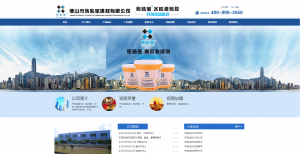 清遠(yuǎn)營(yíng)銷型網(wǎng)站建設(shè)公司哪家好